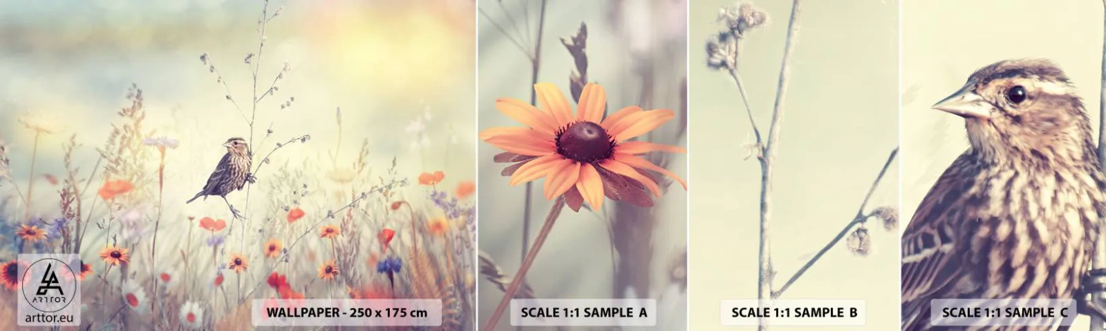 Vzor Fototapety Samolepicí Deluxe Sticker - Portrét ptáka s loukou v pozadí - Pták, Louka, Příroda - 100x30 cm