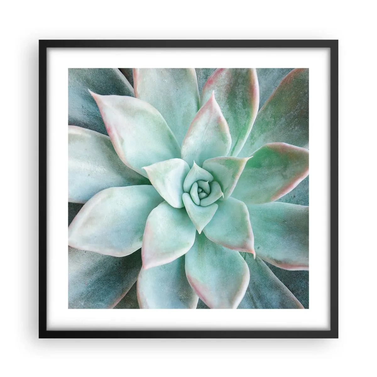 Plakát v černém rámu - Srdce pouště - 50x50 cm