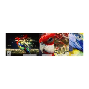 Vzor Fototapety Premium Canvas - Posel záře - Abstrakce, Papoušek, Pták - 100x30 cm