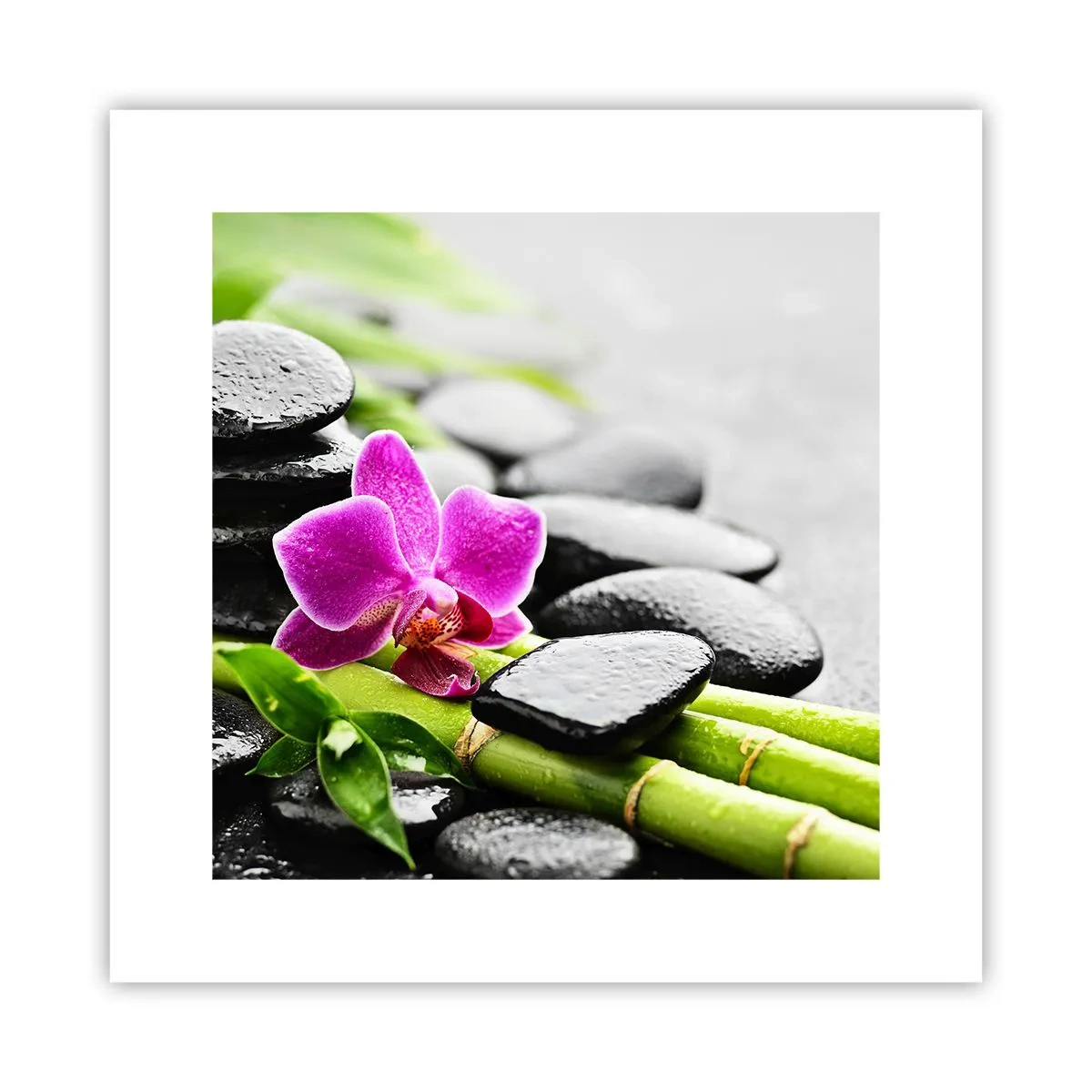 Plakát - V klidné rovnováze - 30x30 cm