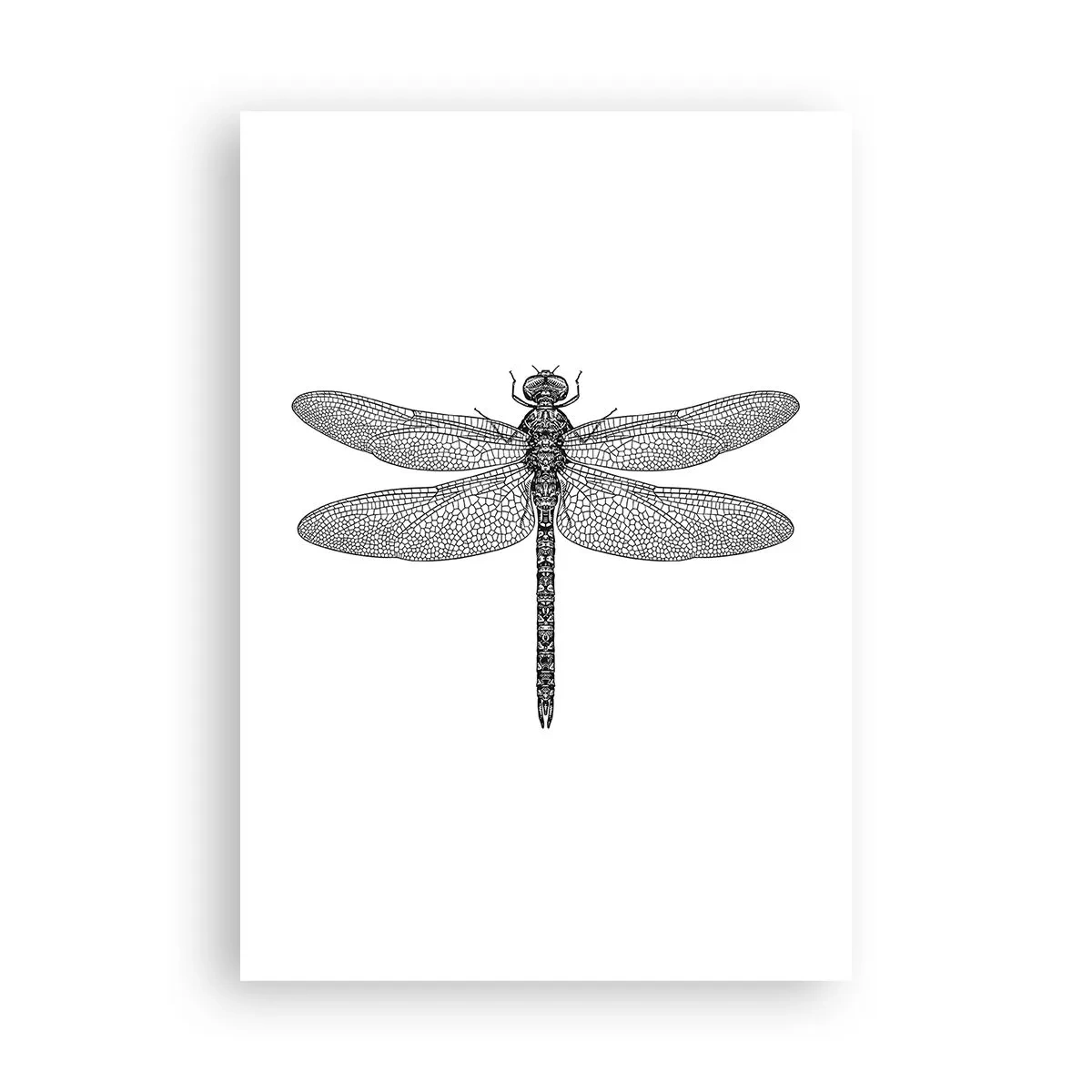 Plakát - Přesnost přírody - 70x100 cm