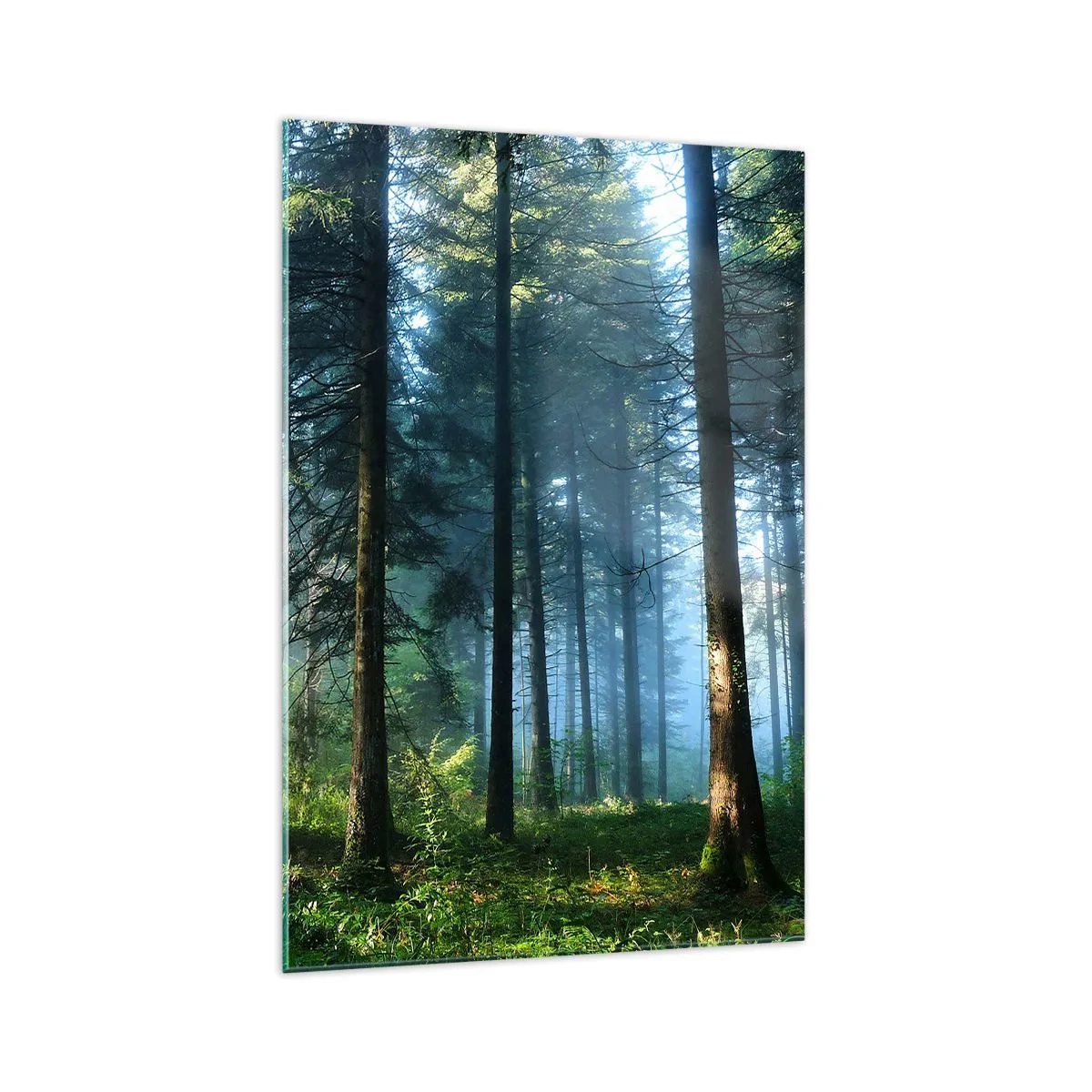 Obraz na skle - Zářící za úsvitu - 70x100 cm