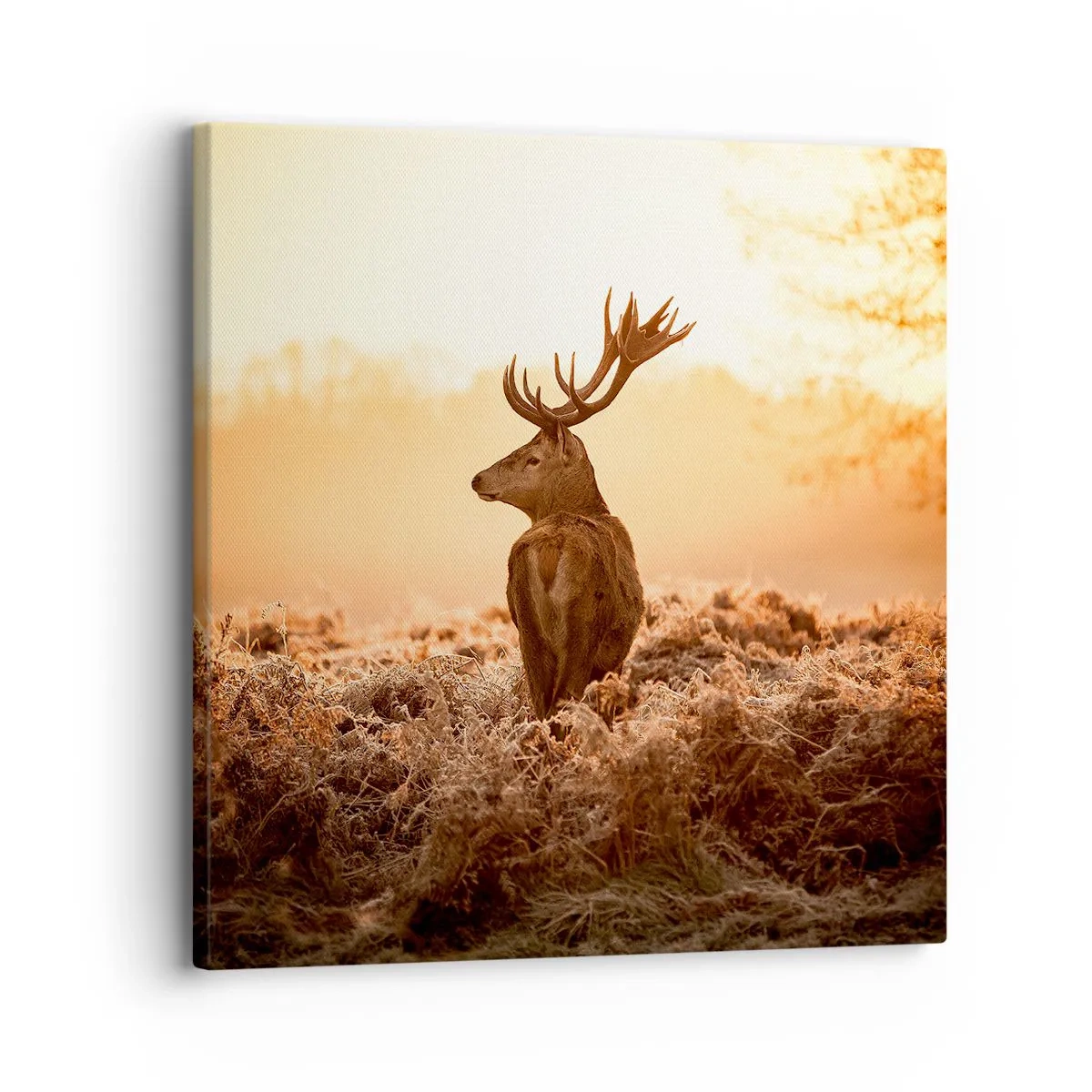 Obraz na plátně - Pán na panství - 30x30 cm