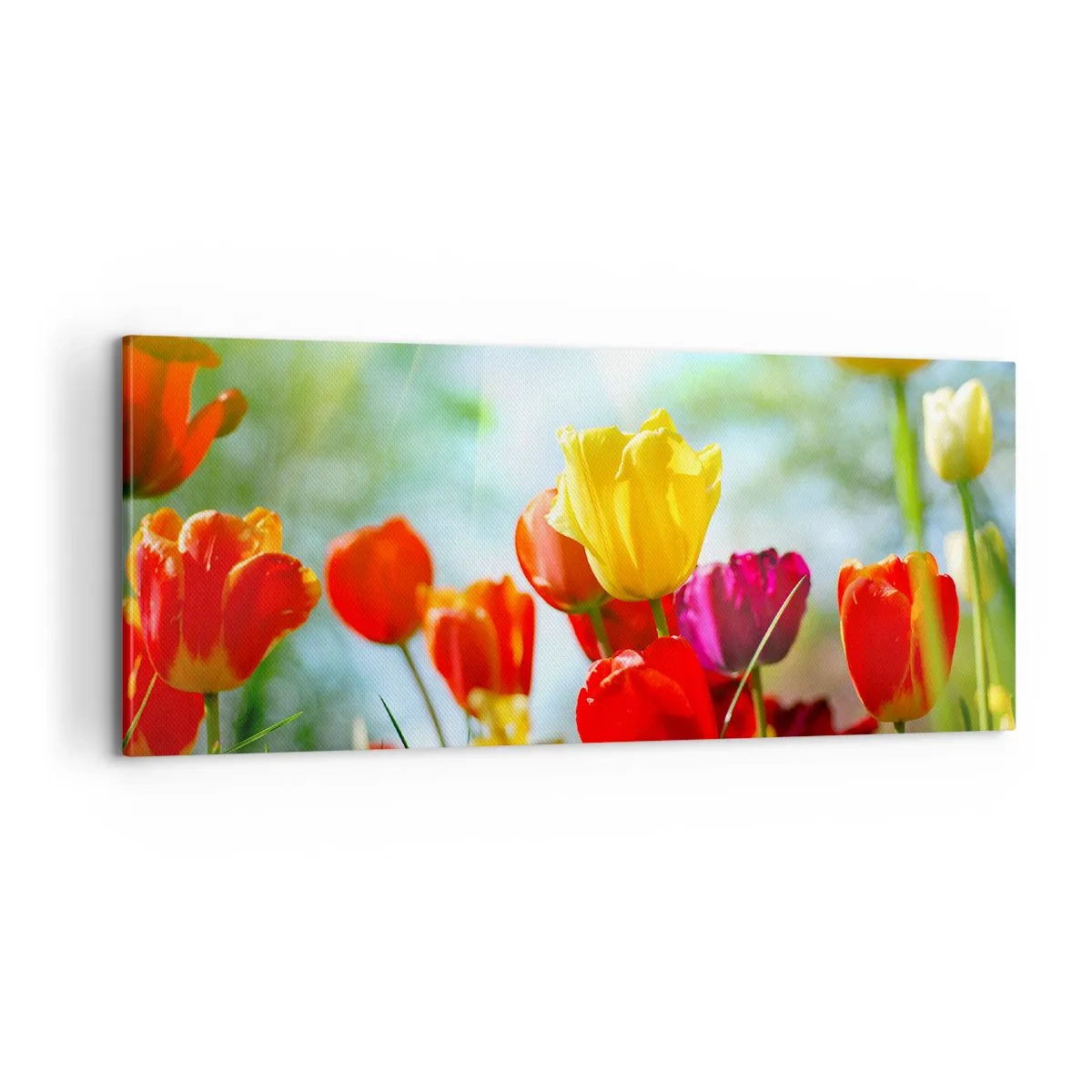 Obraz na plátně - Všechny barvy slunce - 100x40 cm