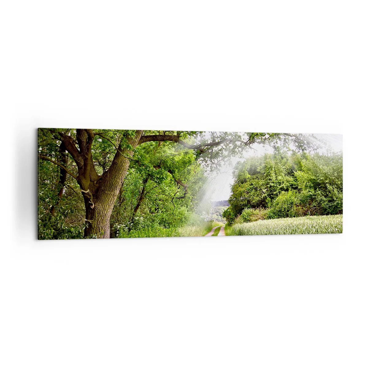 Obraz na plátně - Et in Arcadia ego - 160x50 cm