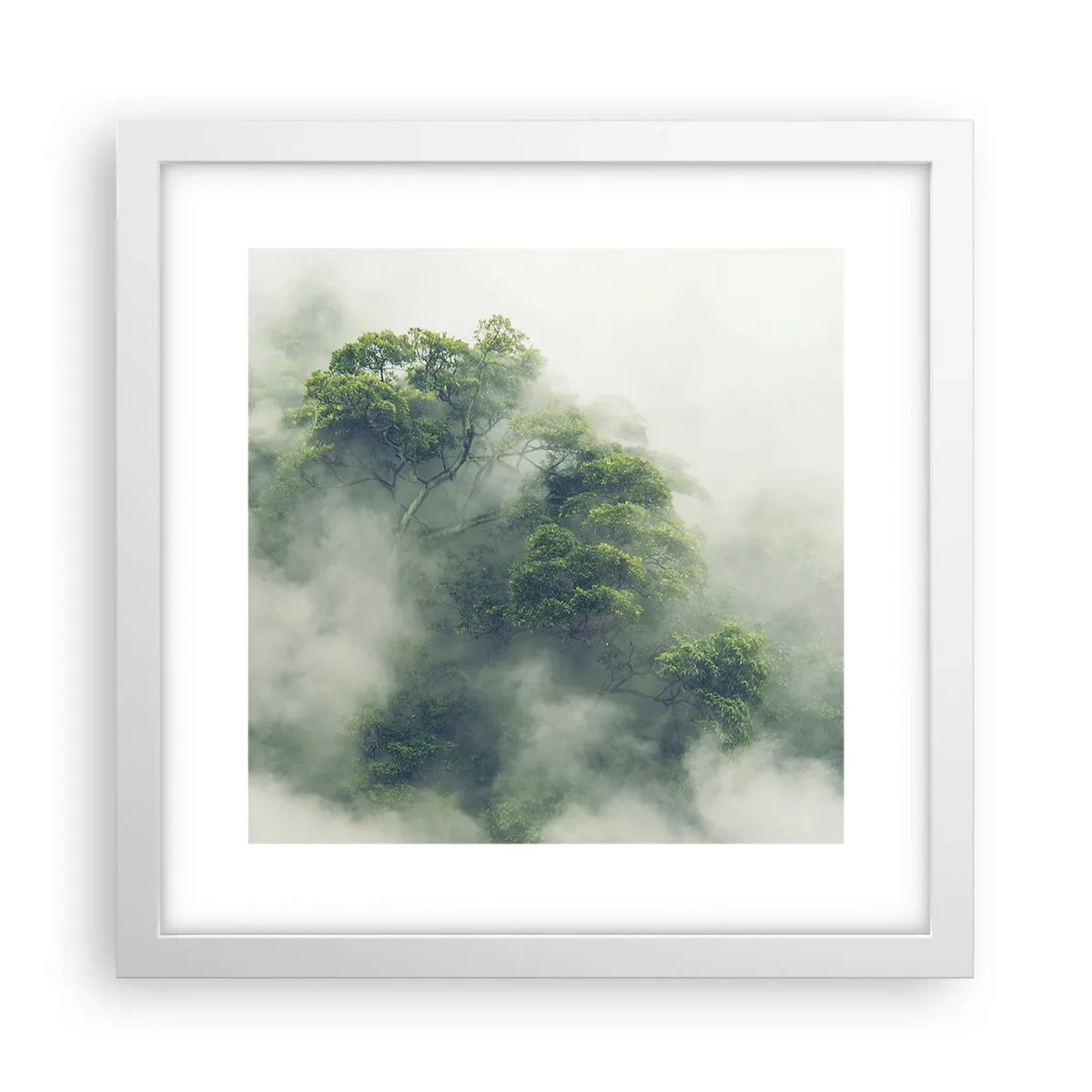 Plakát v bílém rámu - Zahalené mlhou - 30x30 cm