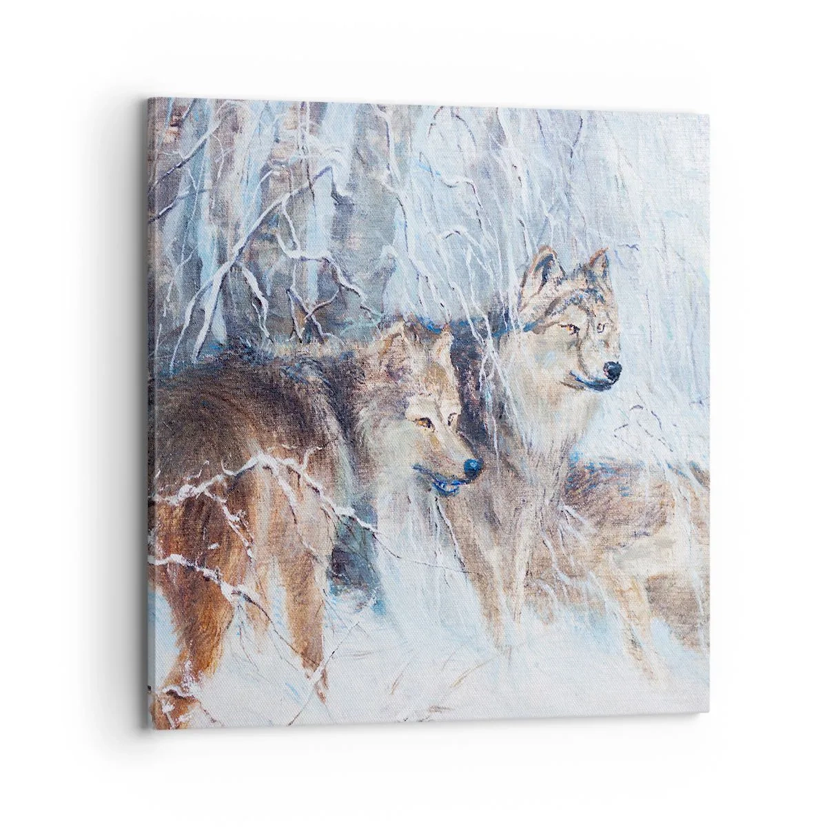 Obraz na plátně - Pozor! Přichází… - 70x70 cm