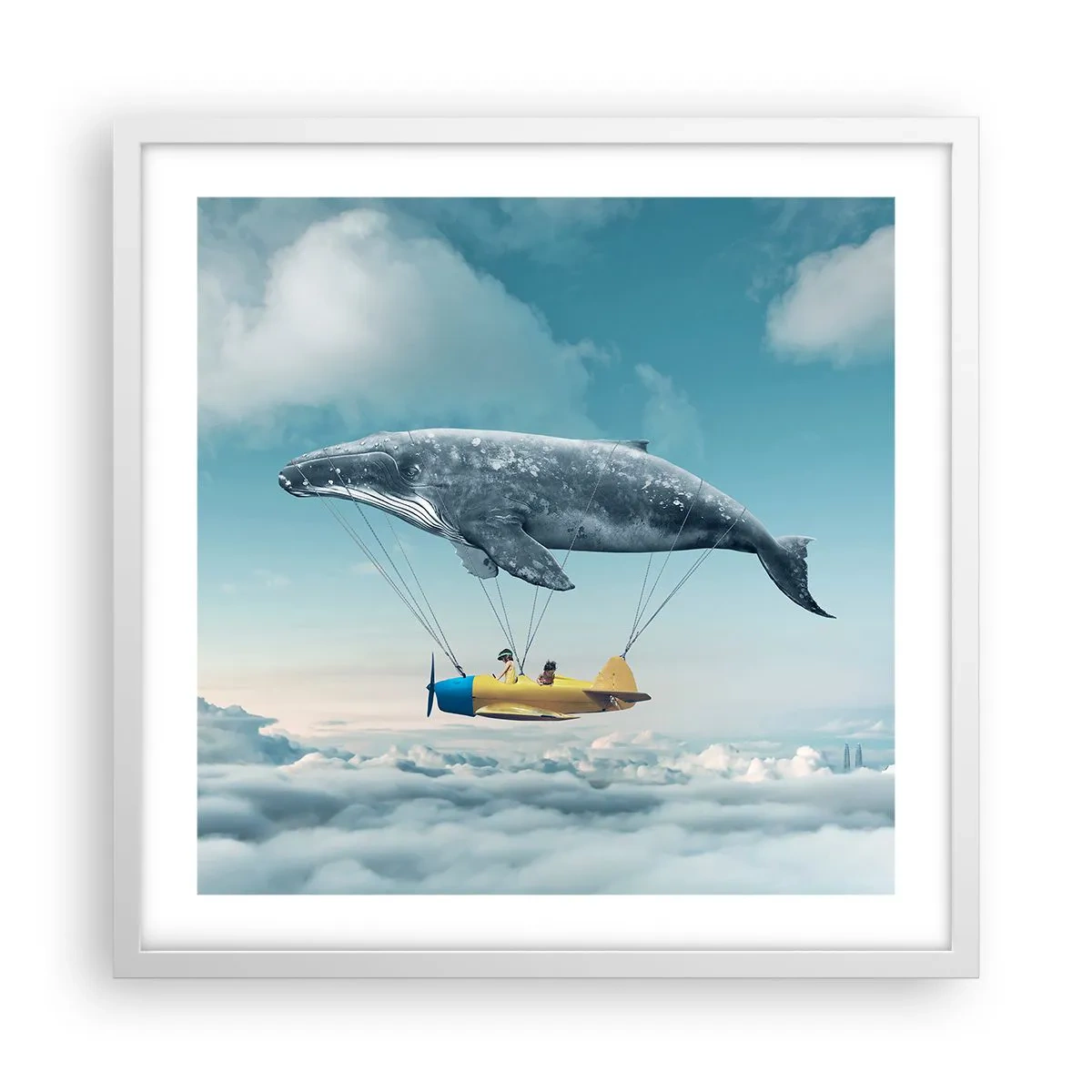 Plakát v bílém rámu - Proč ne? - 50x50 cm