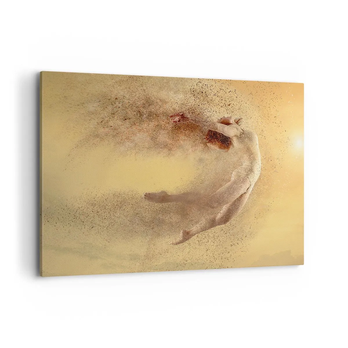 Obraz na plátně - V tanečním vytržení - 100x70 cm