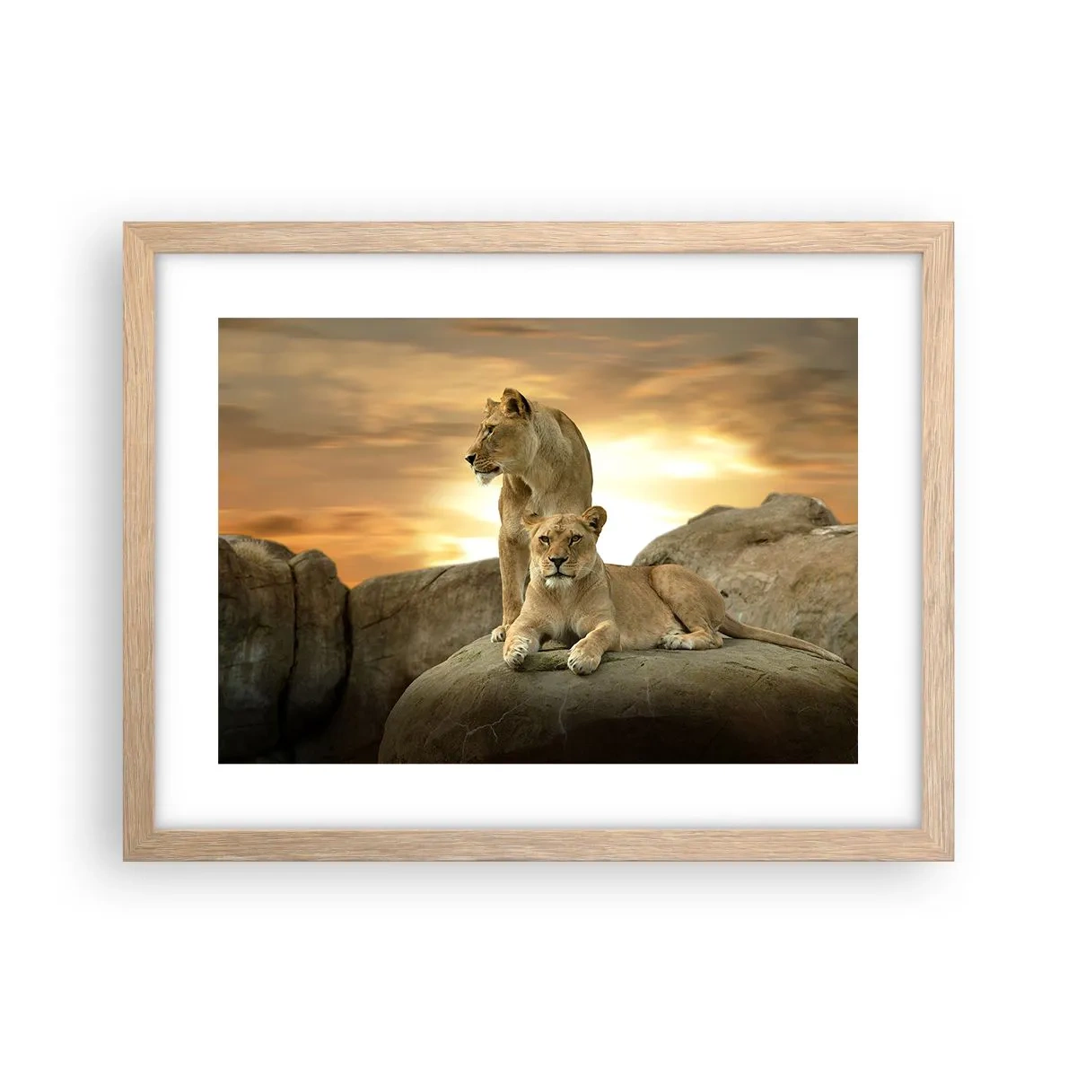 Plakát v rámu světlý dub - Královský majestát - 40x30 cm