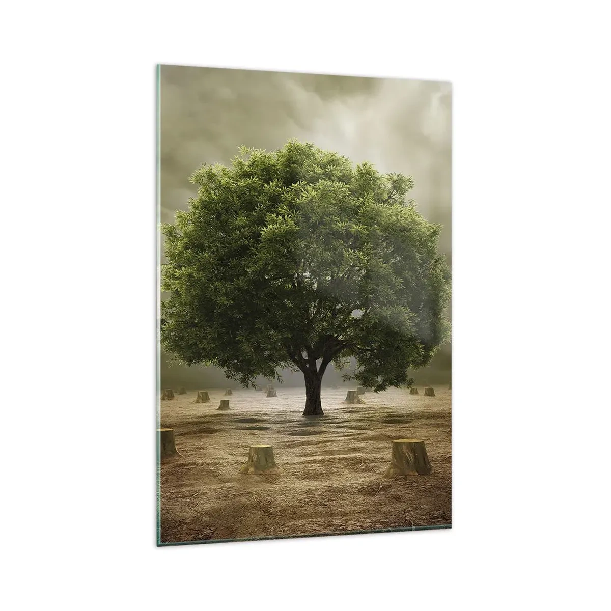 Obraz na skle - Celá naděje - 80x120 cm