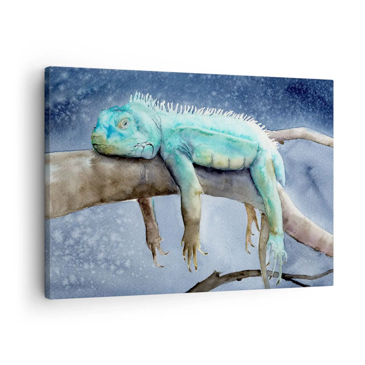 Obraz na plátně - Modrý leguán odpočívající na větvi - 70x50cm - Je to fajn! - Moderní nástěnná dekorace do obývacího pokoje a ložnice ARTTOR