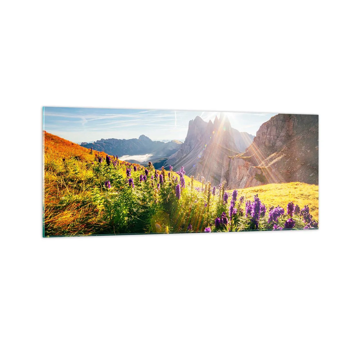 Obraz na skle - Tajemný život bylin - 100x40 cm