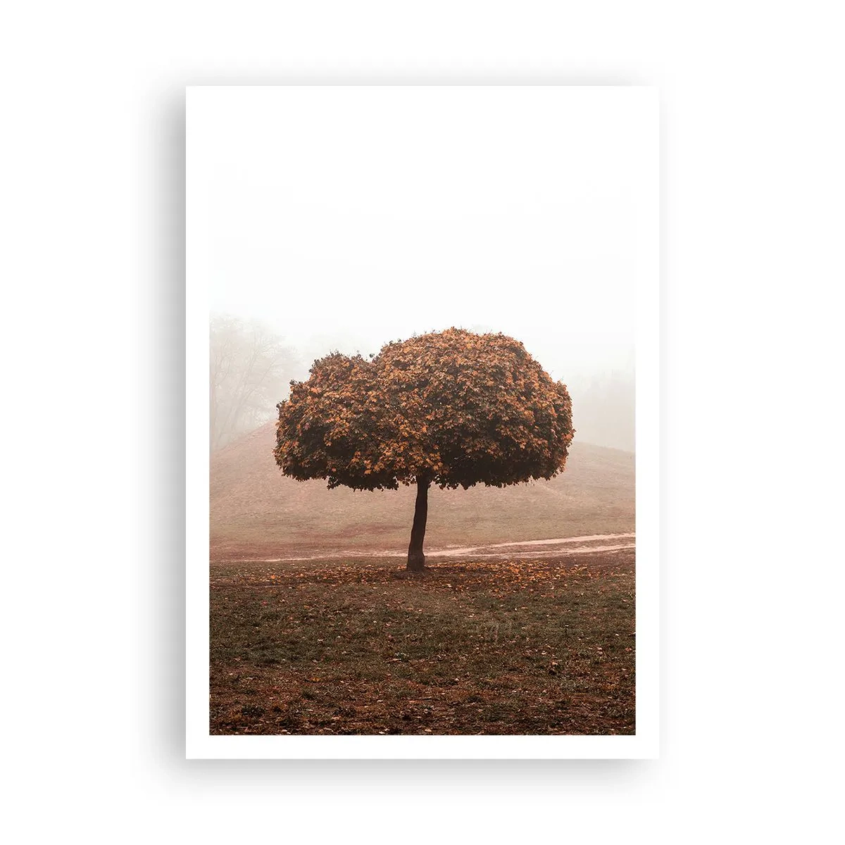 Plakát - Po rušném létě - 70x100 cm