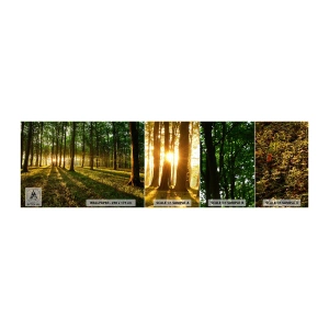 Vzor Fototapety Samolepicí Deluxe Sticker - Fotografie všech jar - Krajina, Les, Příroda - 100x30 cm