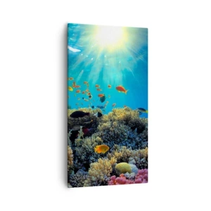 Obraz na plátně - Podvodní poklady - 55x100 cm