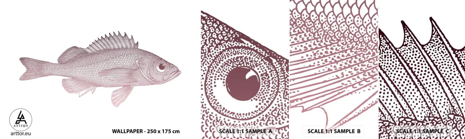 Vzor Fototapety Samolepicí Deluxe Sticker - Ryba s velkýma očima - Ryba, Pod vodou, Minimalistický - 100x30 cm