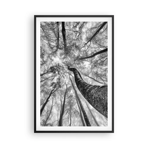 Plakát v černém rámu - Závod ke světlu - 61x91 cm