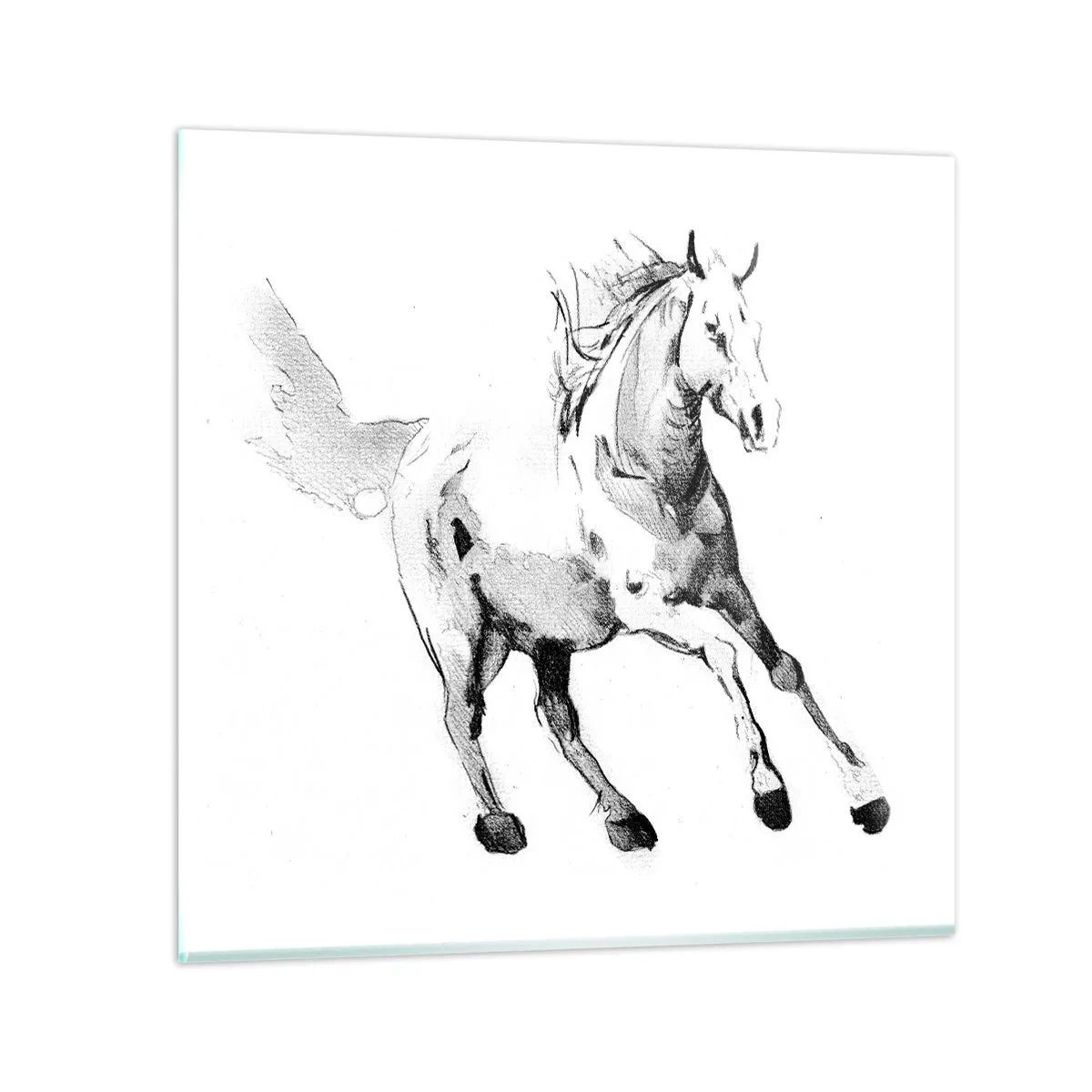 Obraz na skle - Nezkrocená duše - 50x50 cm