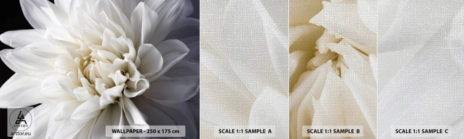 Vzor Fototapety Premium Canvas - Dopoledne s nevěstou - Květ, Jiřina, Příroda - 100x30 cm