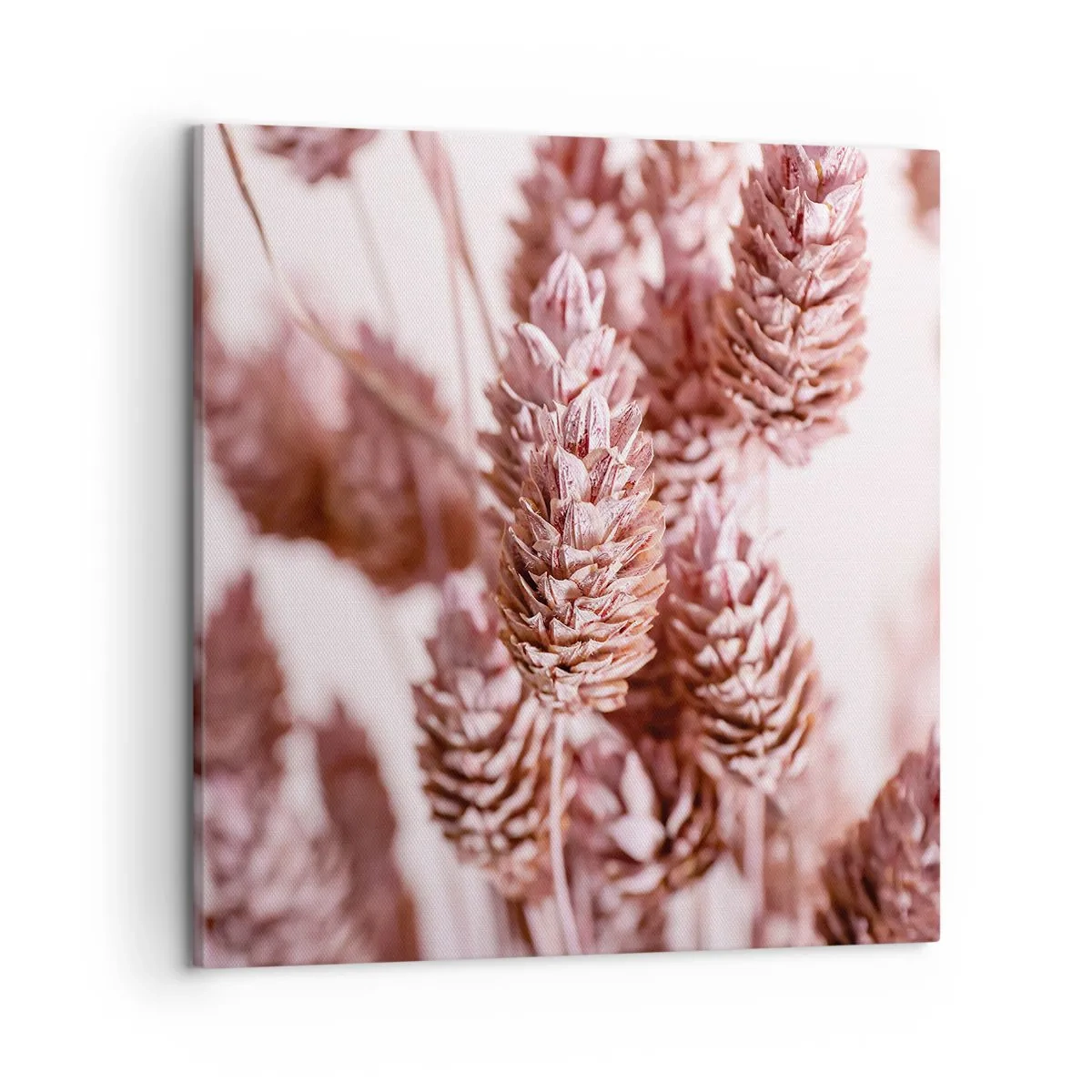 Obraz na plátně - Zdánlivě nenápadné - 50x50 cm