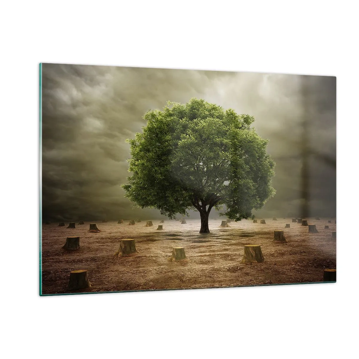 Obraz na skle - Celá naděje - 120x80 cm