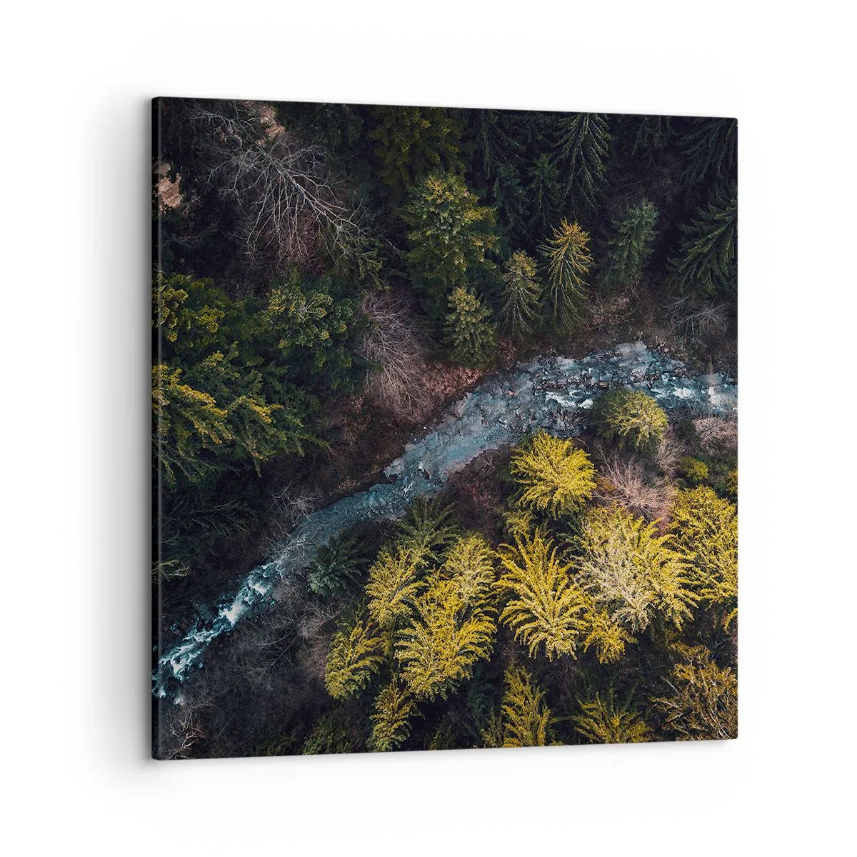 Obraz na plátně - Rychle, stále rychleji - 50x50 cm