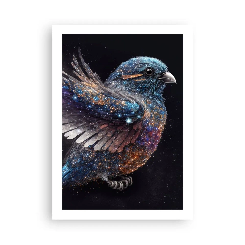 Plakát - Diamantový vrabec - 50x70 cm