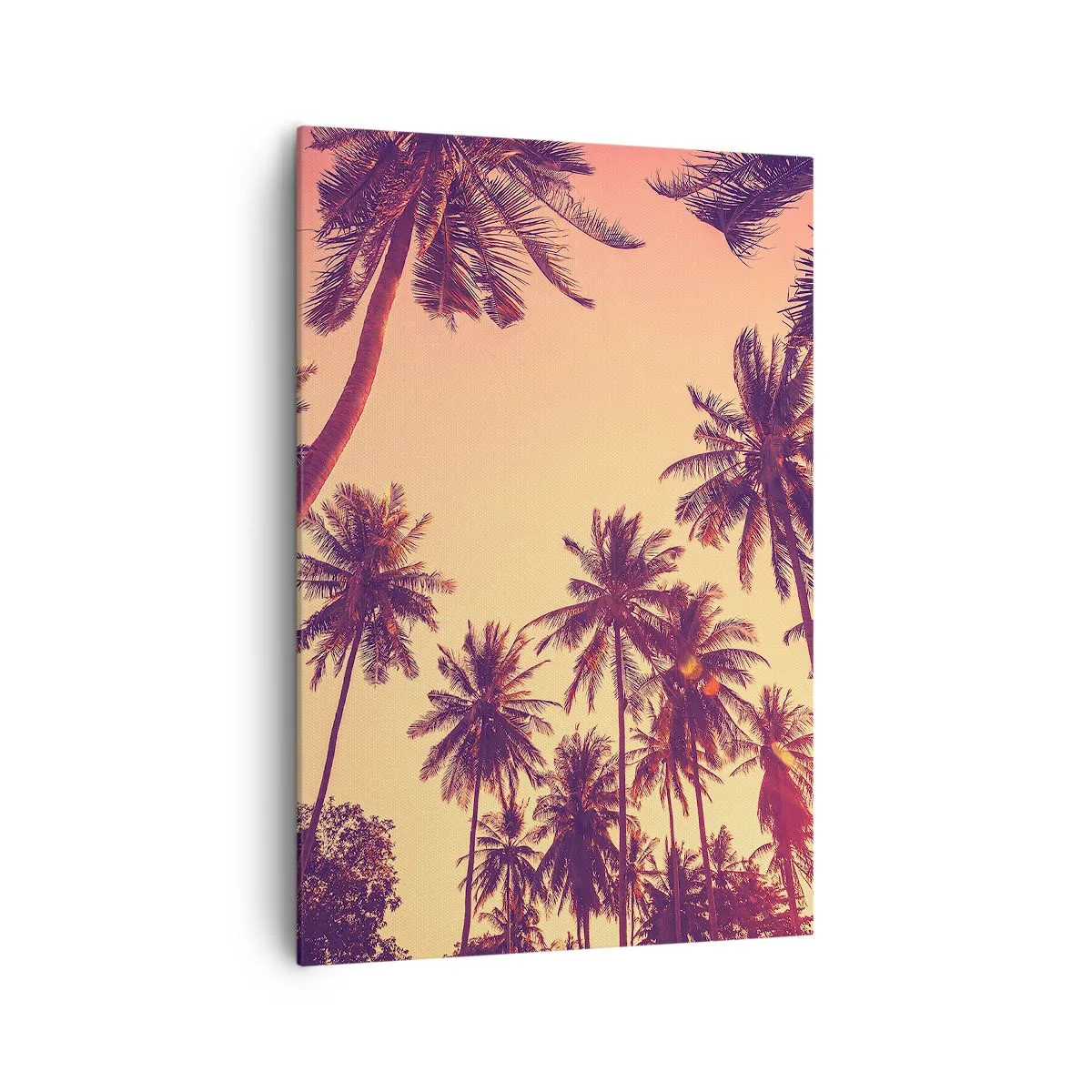 Obraz na plátně - Tropická variace - 70x100 cm