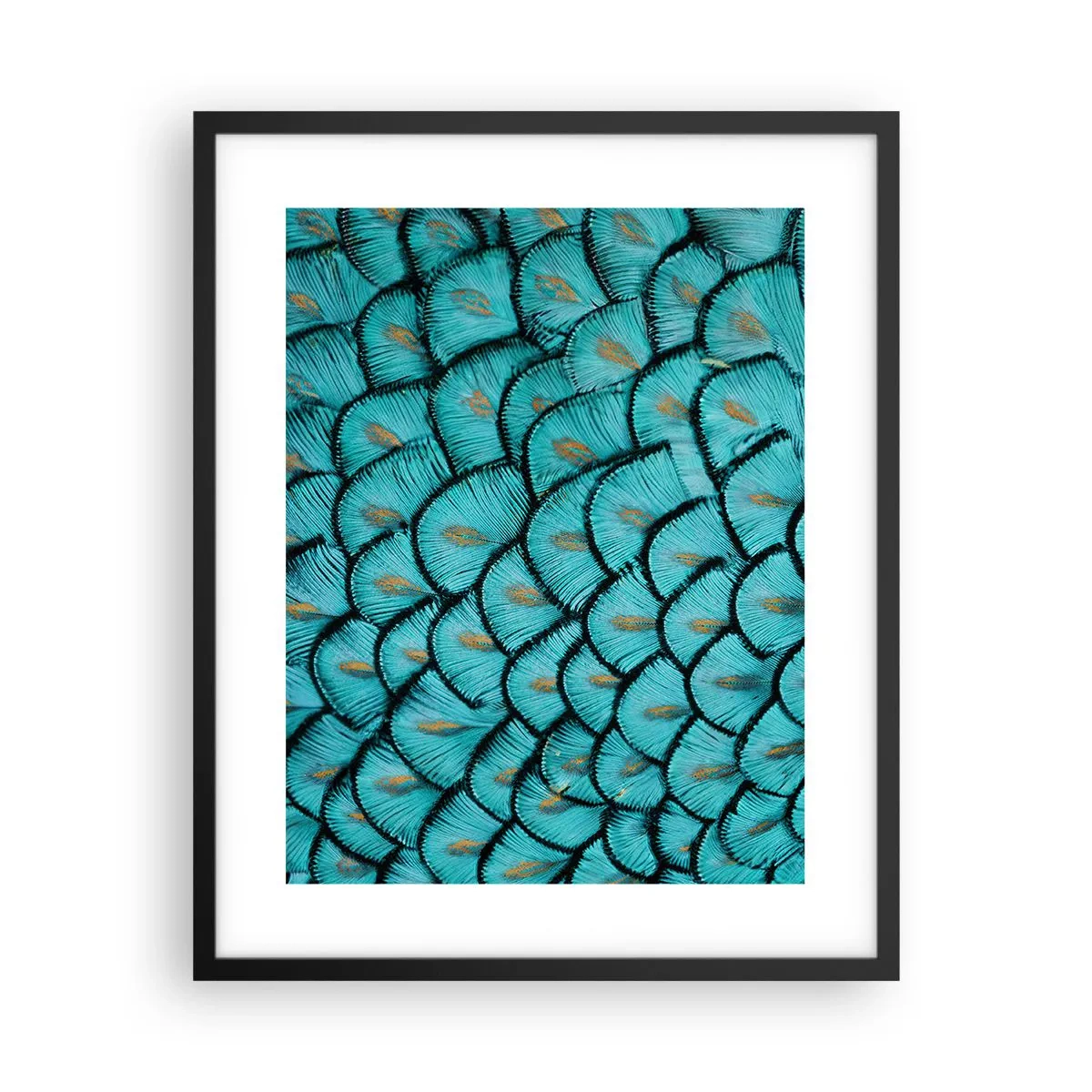 Plakát v černém rámu - Velká slavnost peří - 40x50 cm
