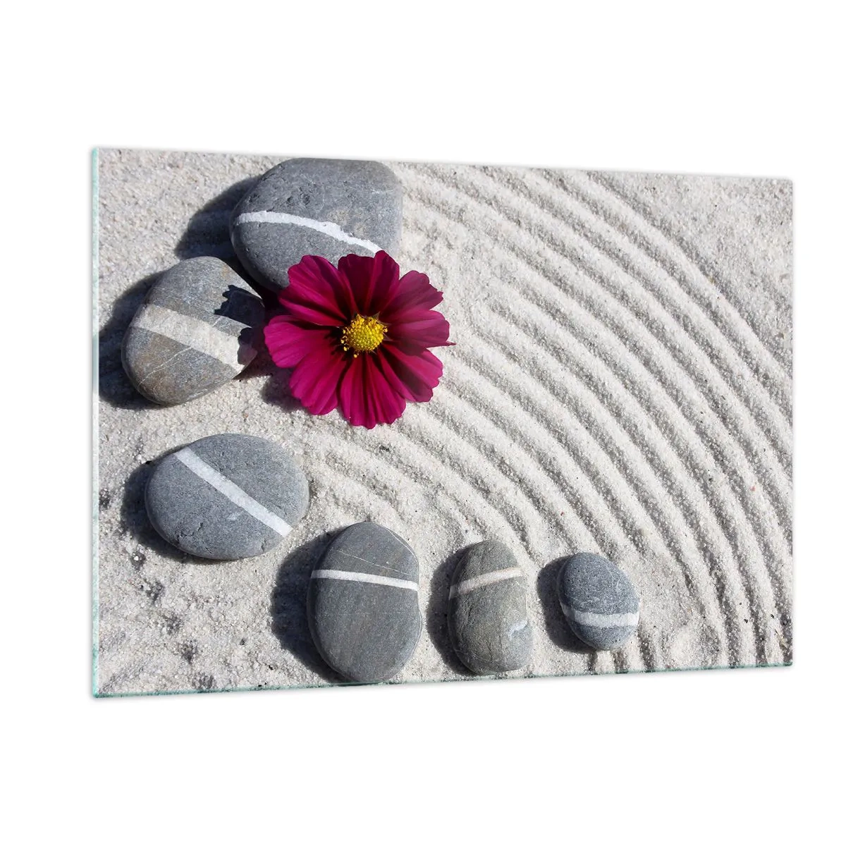 Obraz na skle - Energie a klid magického kruhu přírody - 120x80 cm