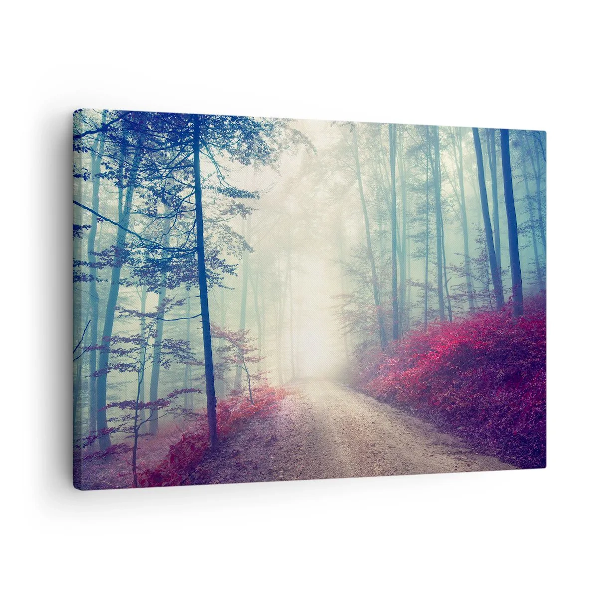 Obraz na plátně - Kouzelná lesní cesta obklopená stromy a mlhou - 70x50cm - Je dobře vstát s východem slunce - Moderní nástěnná dekorace do obývacího pokoje a ložnice ARTTOR