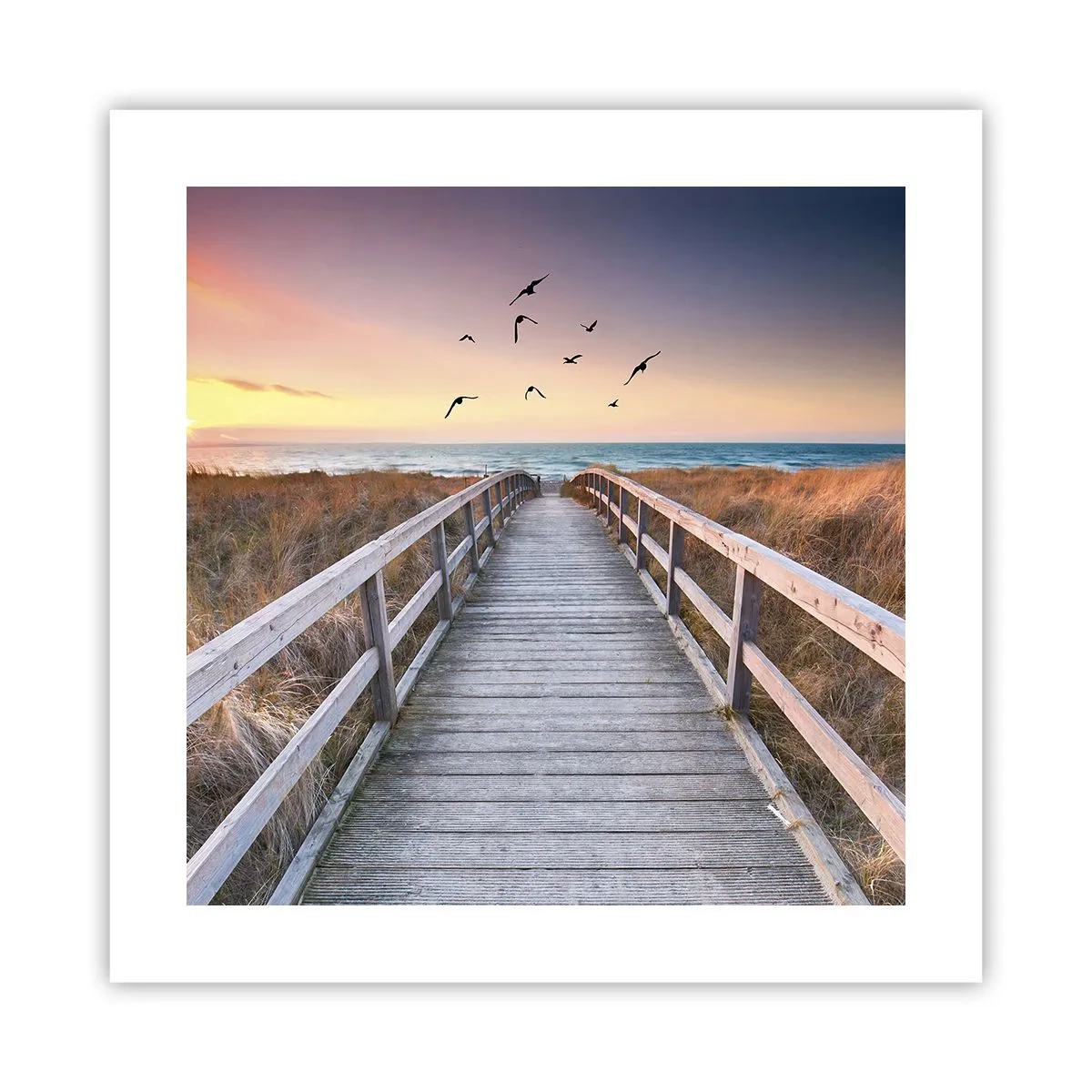 Plakát - Prostor pro vzestupy - 40x40 cm