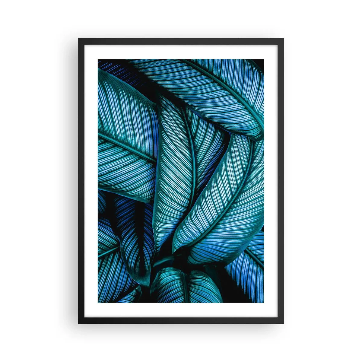 Plakát v černém rámu - Okouzlující modrozelené listy banánovníku - 50x70cm - Čáry života - Moderní nástěnná dekorace do obývacího pokoje a ložnice ARTTOR