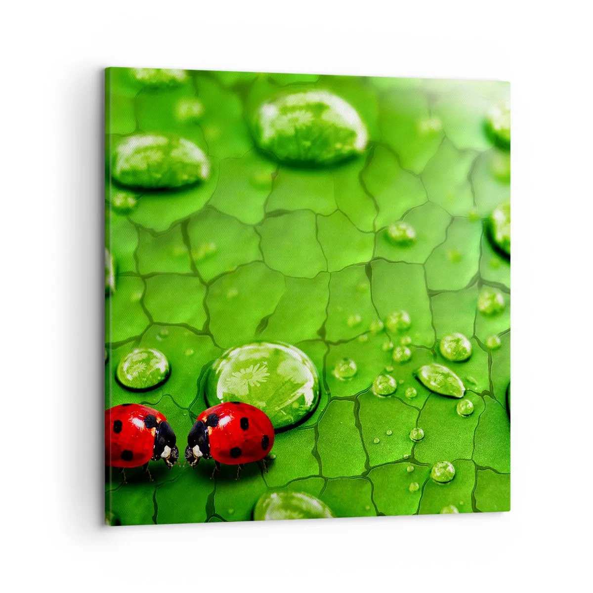 Obraz na plátně - Setkání v zeleni - 50x50 cm