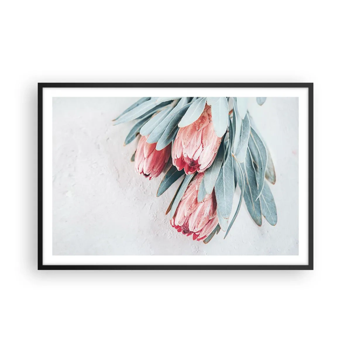 Plakát v černém rámu - Zahanbené svou vlastní krásou - 91x61 cm