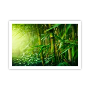 Plakát - Poznat samotnou zeleň - 91x61 cm