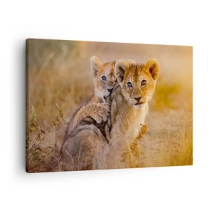 Obraz na plátně - Rozkošná lvíčata v jejich přirozeném prostředí - 70x50cm - Nevyrušovat! Hrajme si - Moderní nástěnná dekorace do obývacího pokoje a ložnice ARTTOR