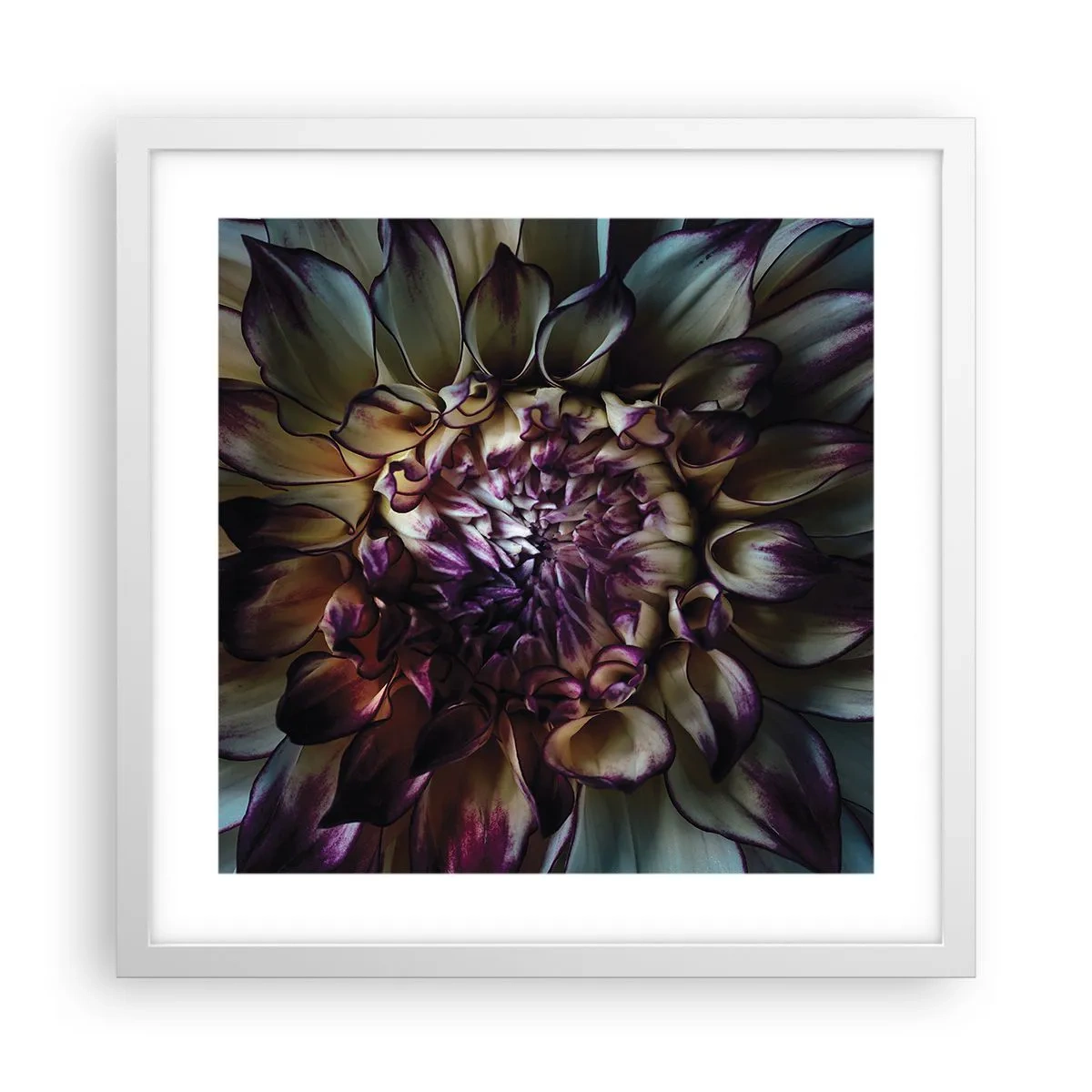 Plakát v bílém rámu - Rozkvět mládí - 40x40 cm