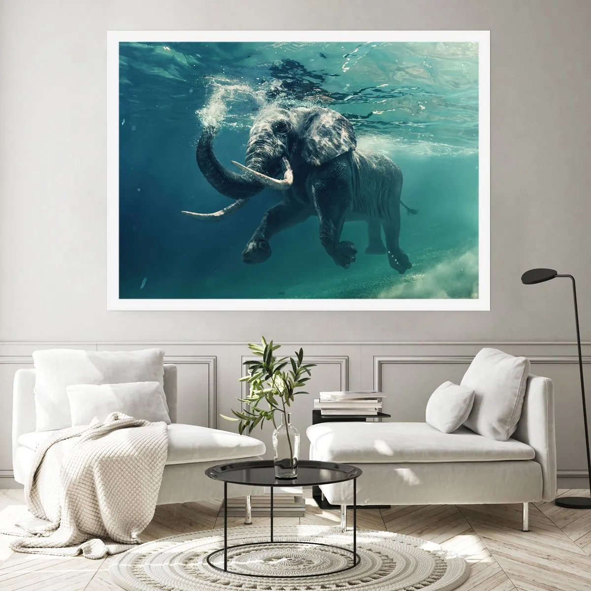 Plakát - Všichni rádi plavou - 50x40 cm