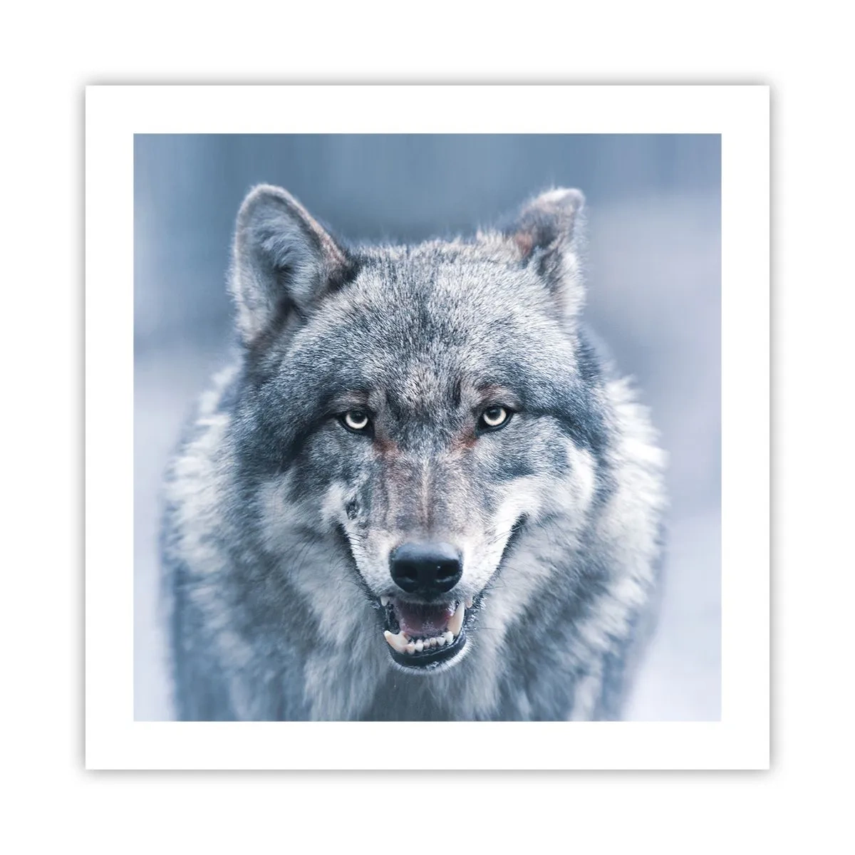 Plakát - Přijmete tuto výzvu? - 50x50 cm