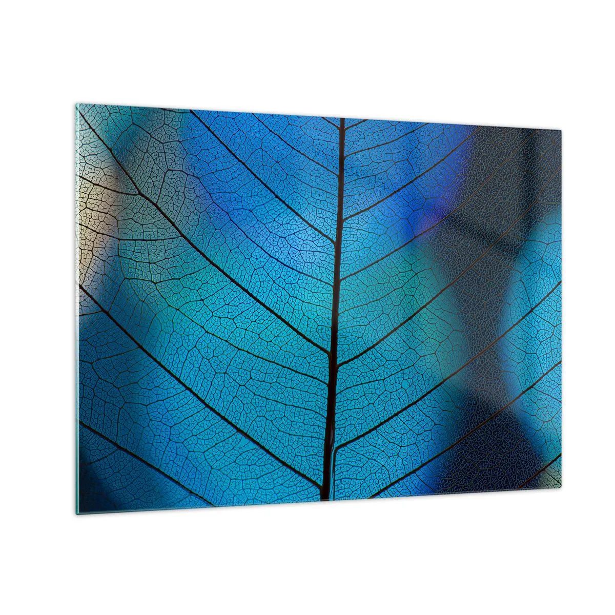 Obraz na skle - Detail modrého listu zobrazující strukturu žilek. - 70x50cm - Až do detailů - Moderní nástěnná dekorace do obývacího pokoje a ložnice ARTTOR