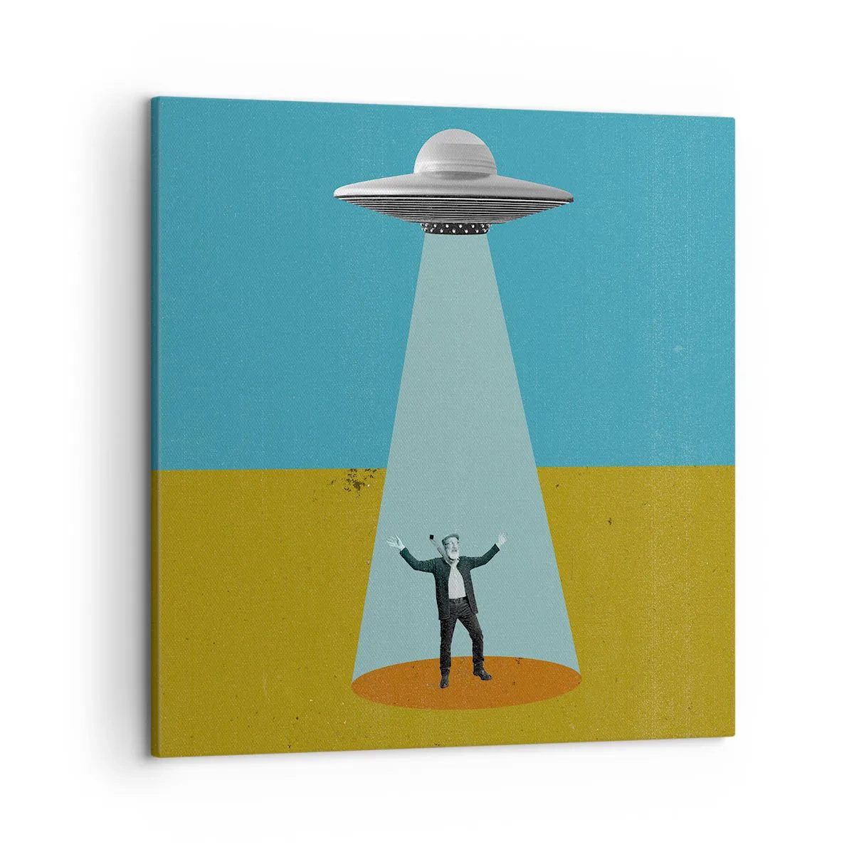 Obraz na plátně - Blízké setkání - 50x50 cm