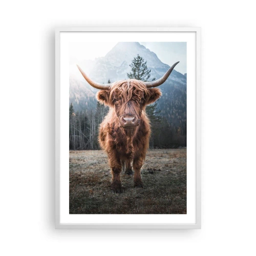 Plakát v bílém rámu - Pozdravy z horské louky - 50x70 cm