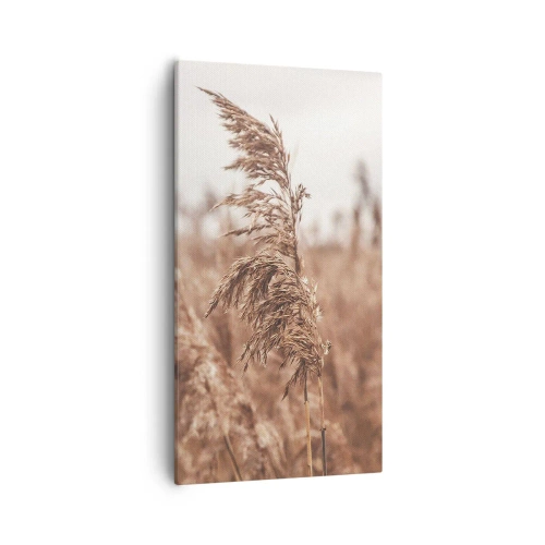 Obraz na plátně - Na polích už je podzim - 55x100 cm