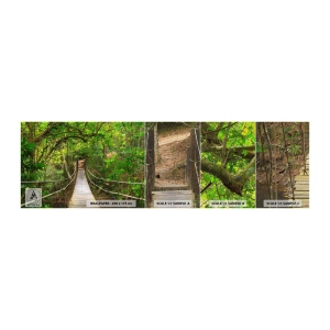 Vzor Fototapety Premium Canvas - Protože na zahradě rostou popínavé rostliny - Krajina, Les, Příroda - 100x30 cm