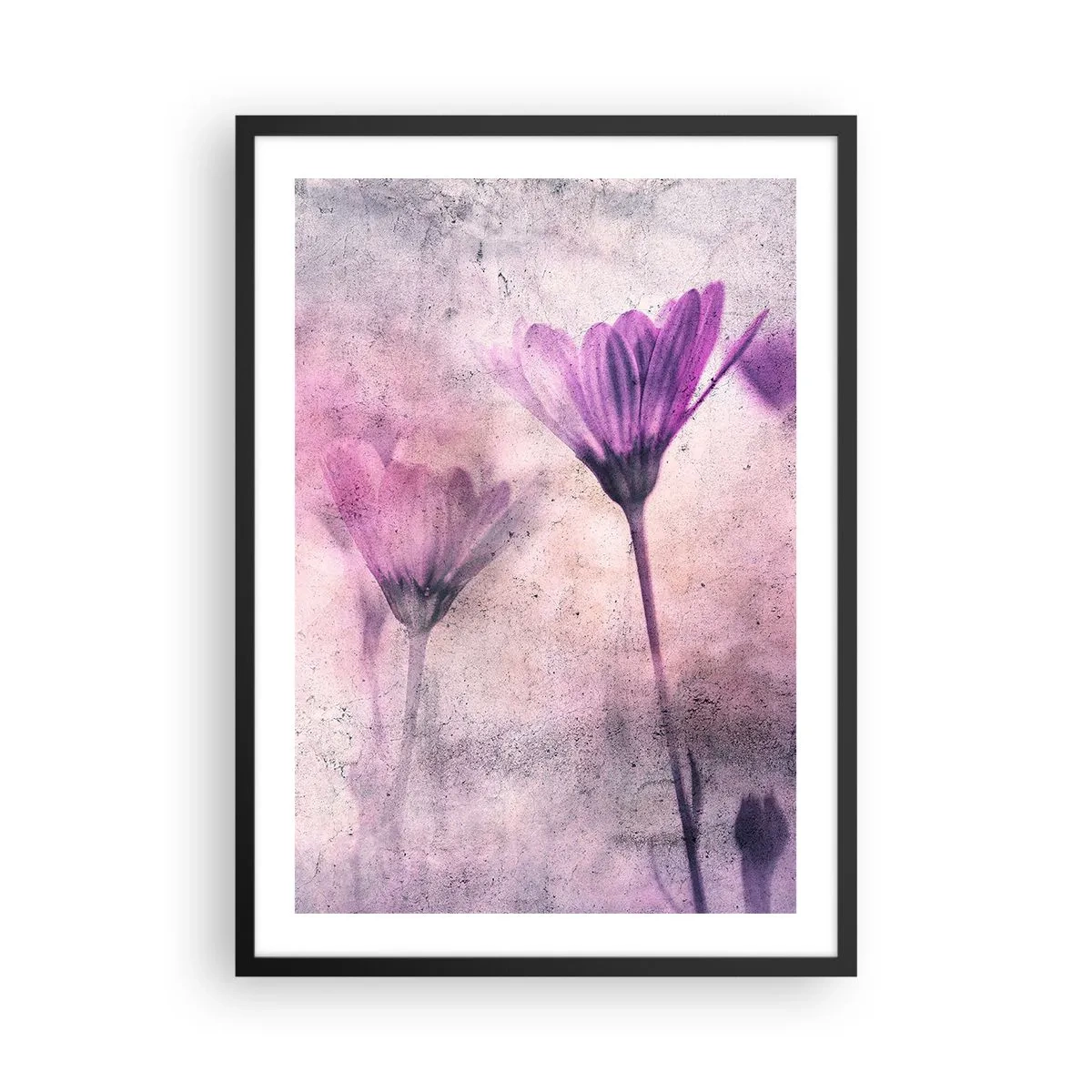 Plakát v černém rámu - Jemné květiny v odstínech růžové a fialové na světlém pozadí - 50x70cm - Sen květin - Moderní nástěnná dekorace do obývacího pokoje a ložnice ARTTOR