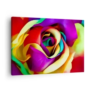Obraz na plátně - Barevná růže v duhových odstínech - 70x50cm - To není možné - Moderní nástěnná dekorace do obývacího pokoje a ložnice ARTTOR