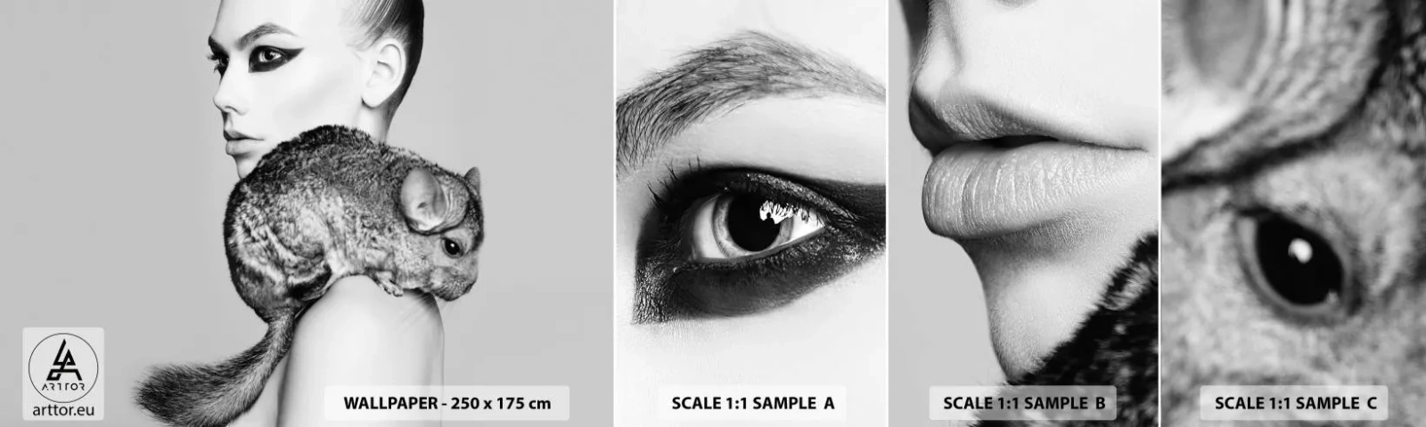 Vzor Fototapety Samolepicí Deluxe Sticker - Dáma s činčilou - Žena, žena s činčilou, Modelka - 100x30 cm