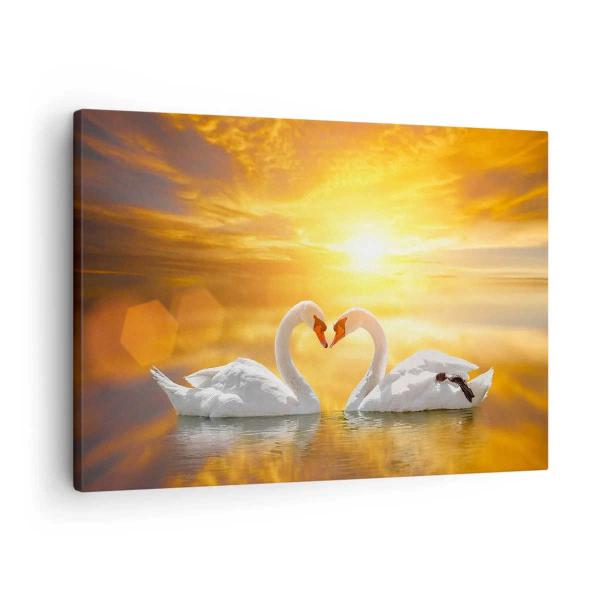 Obraz na plátně - Romantická scéna dvou labutí tvořících srdce na pozadí zlatavého západu slunce. - 70x50cm - Srdce je nejkrásnější slovo světa… - Moderní nástěnná dekorace do obývacího pokoje a ložnice ARTTOR